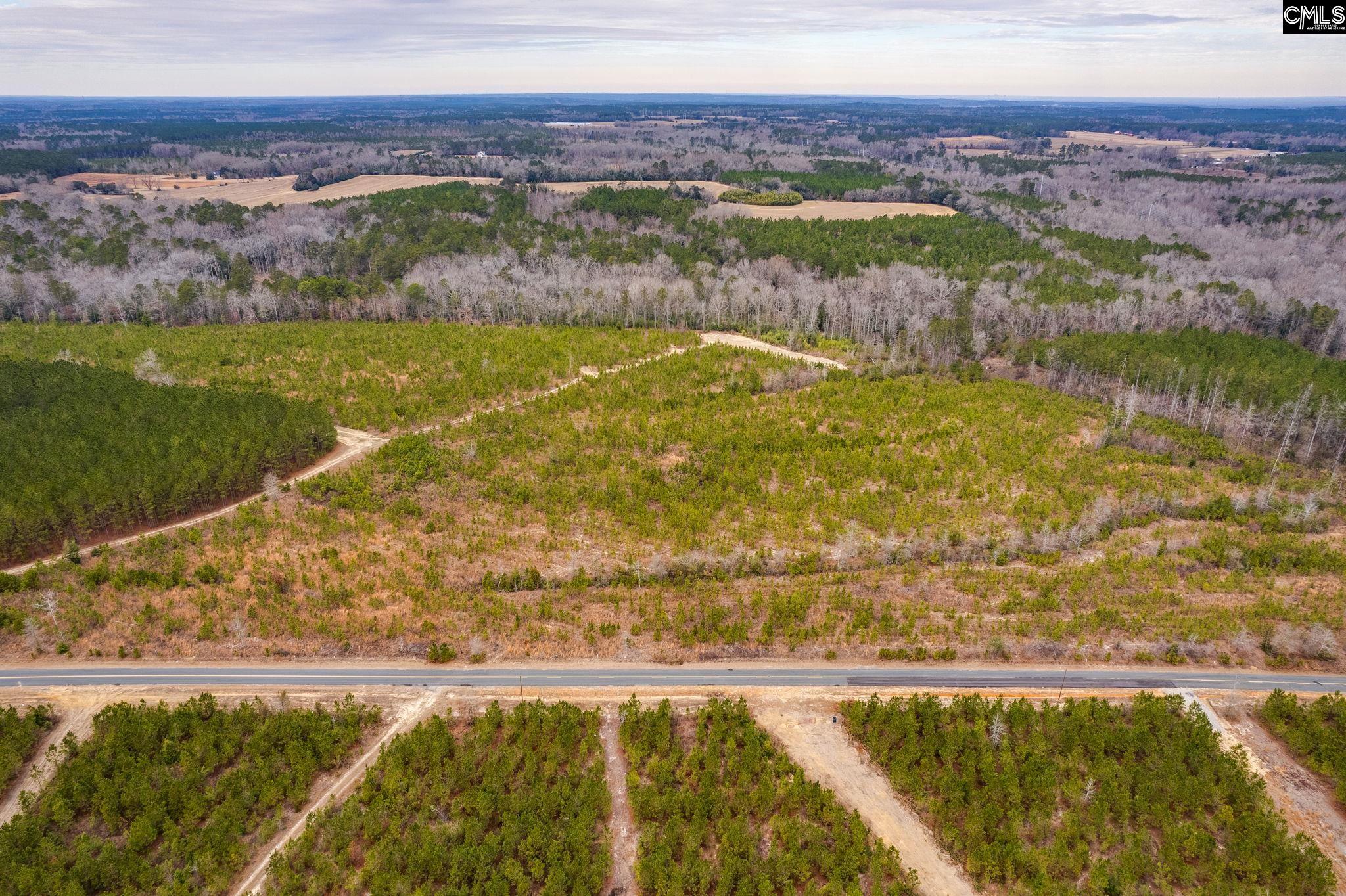 TBD Catalina Blvd Lot 17, Swansea, South Carolina image 5