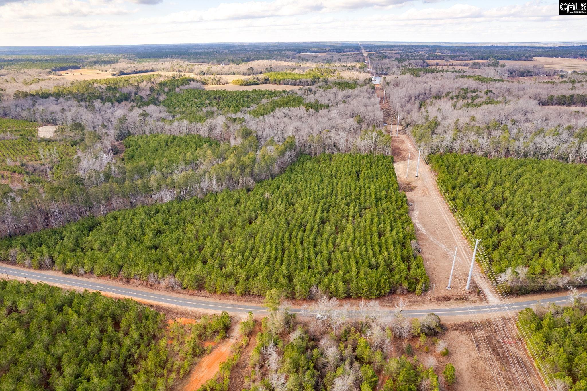 TBD Catalina Blvd Lot 17, Swansea, South Carolina image 7