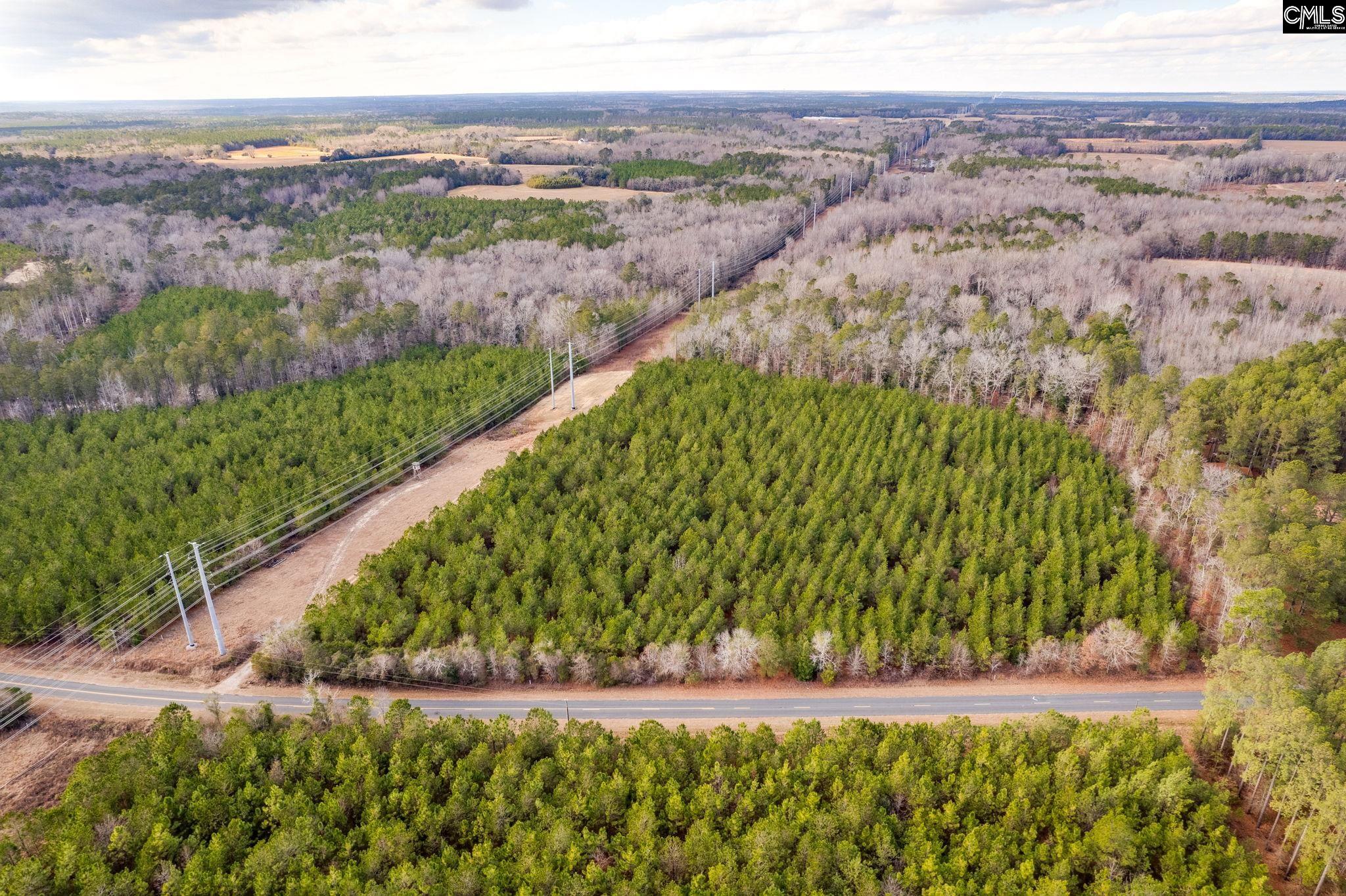 TBD Catalina Blvd Lot 17, Swansea, South Carolina image 8