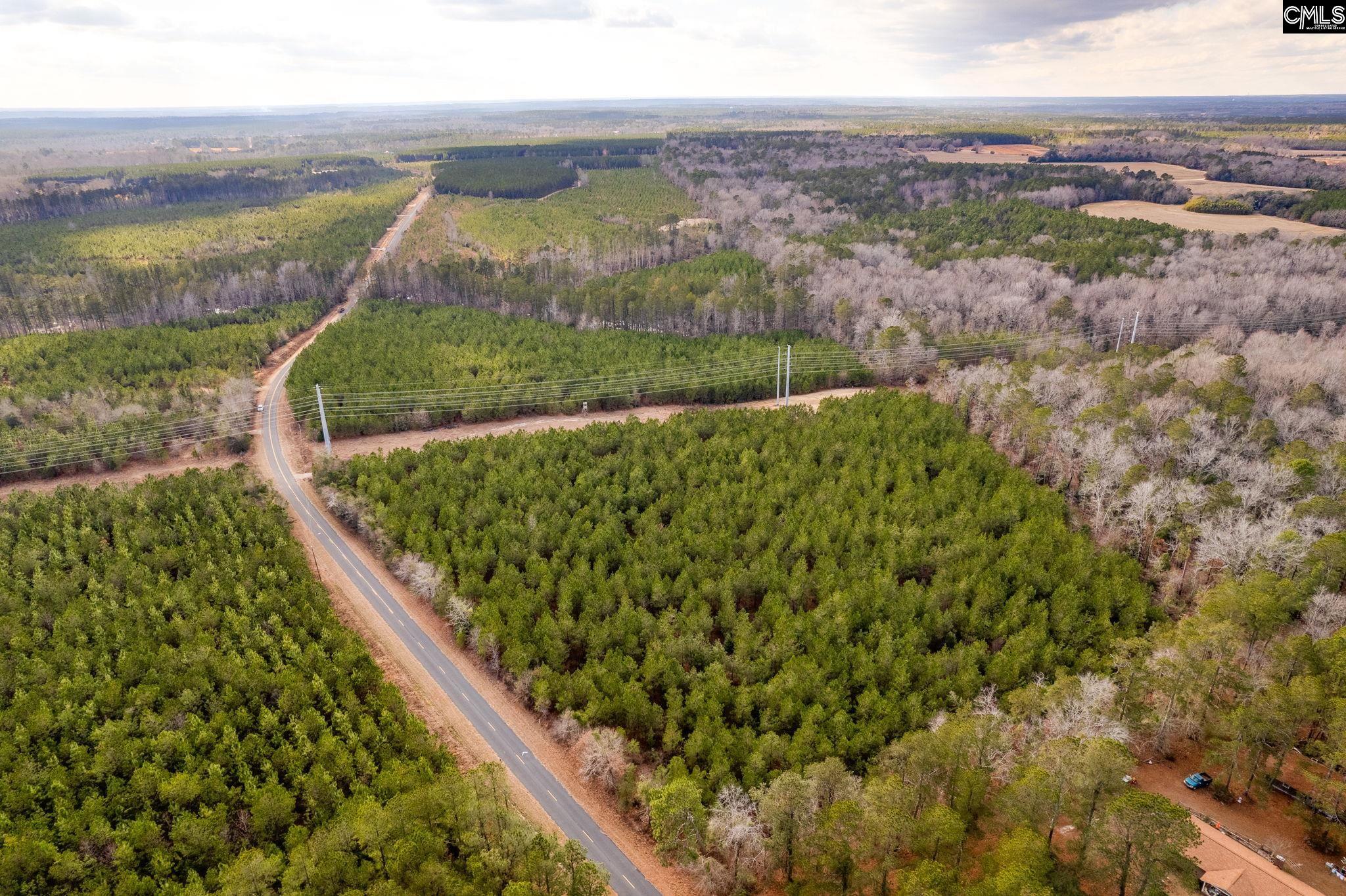TBD Catalina Blvd Lot 17, Swansea, South Carolina image 9