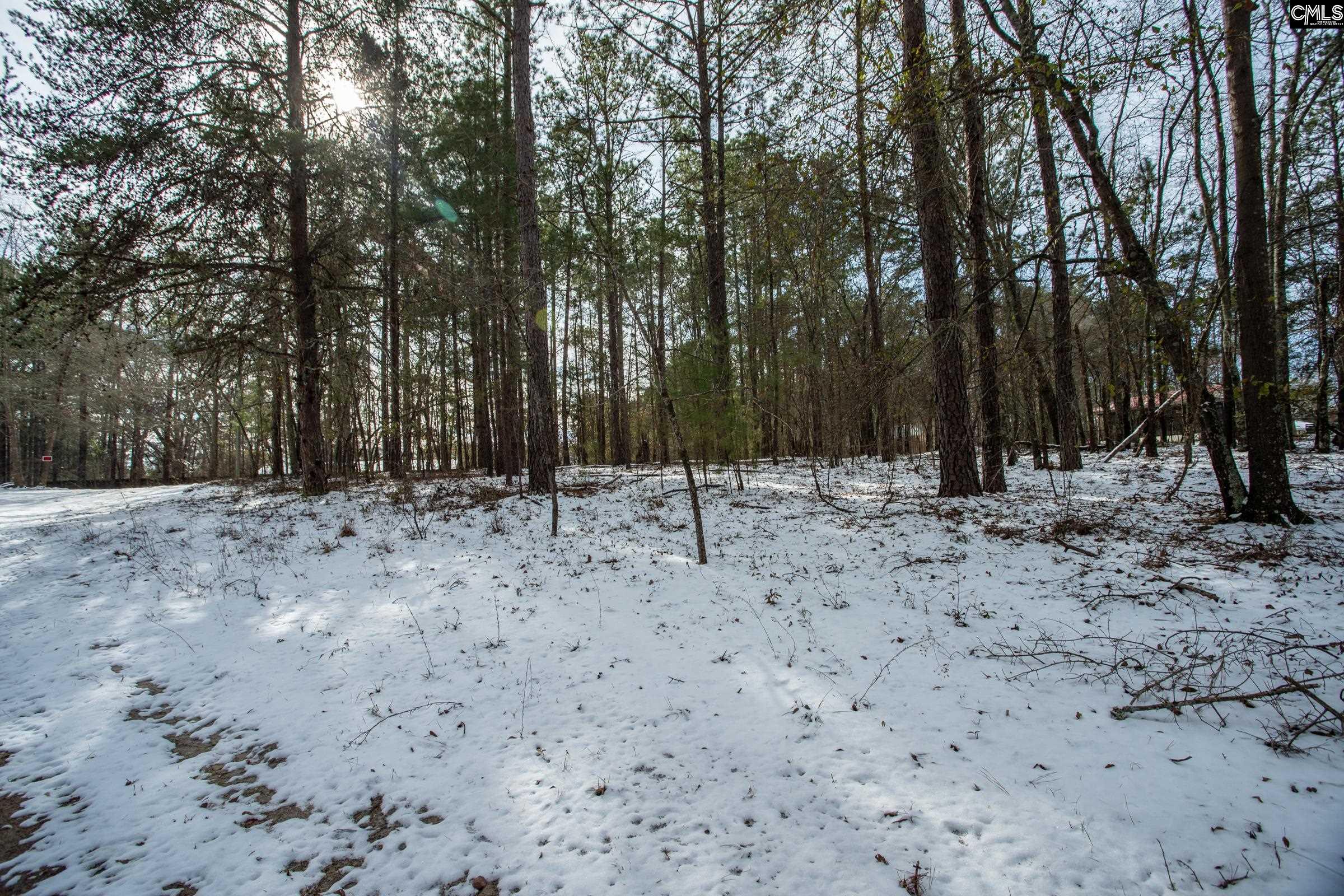 112 Kinard Kelley Lane, Blythewood, South Carolina image 6