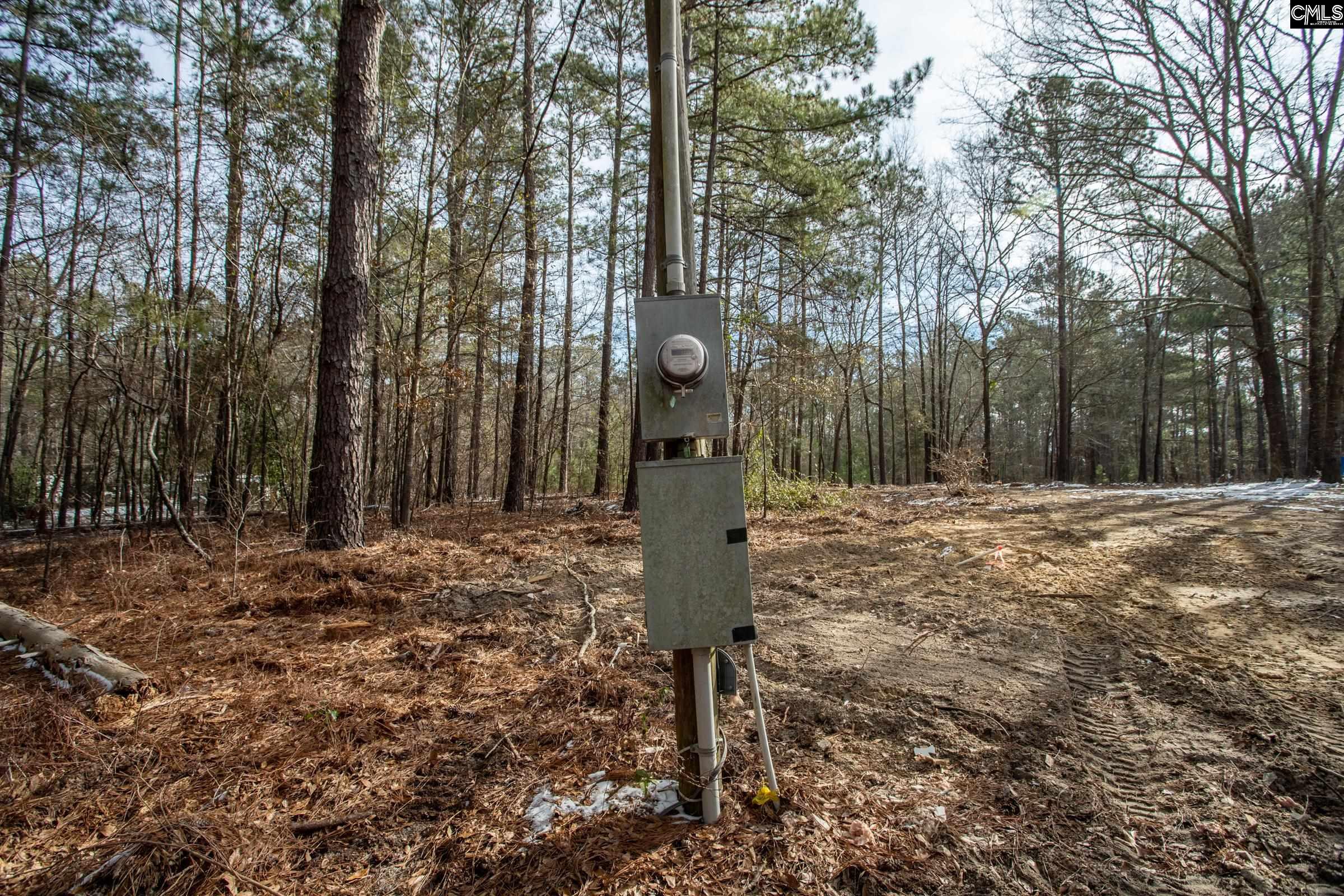 112 Kinard Kelley Lane, Blythewood, South Carolina image 7