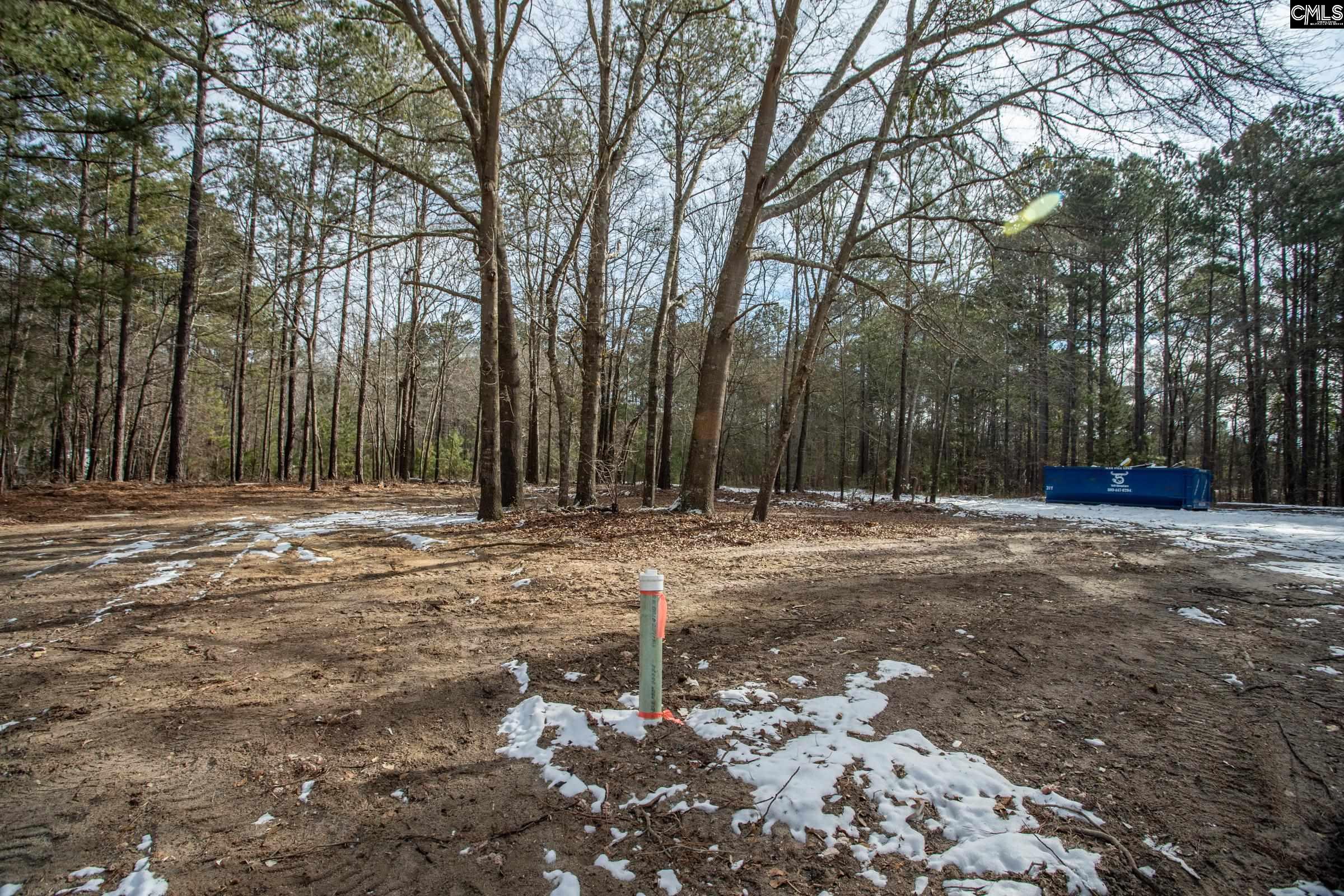 112 Kinard Kelley Lane, Blythewood, South Carolina image 8