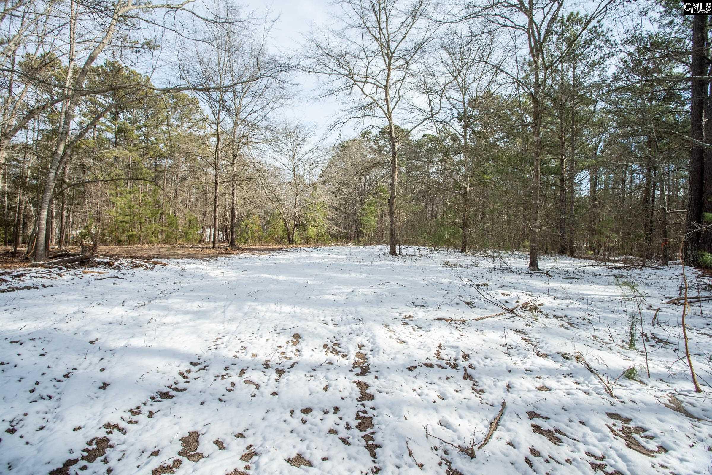 112 Kinard Kelley Lane, Blythewood, South Carolina image 9