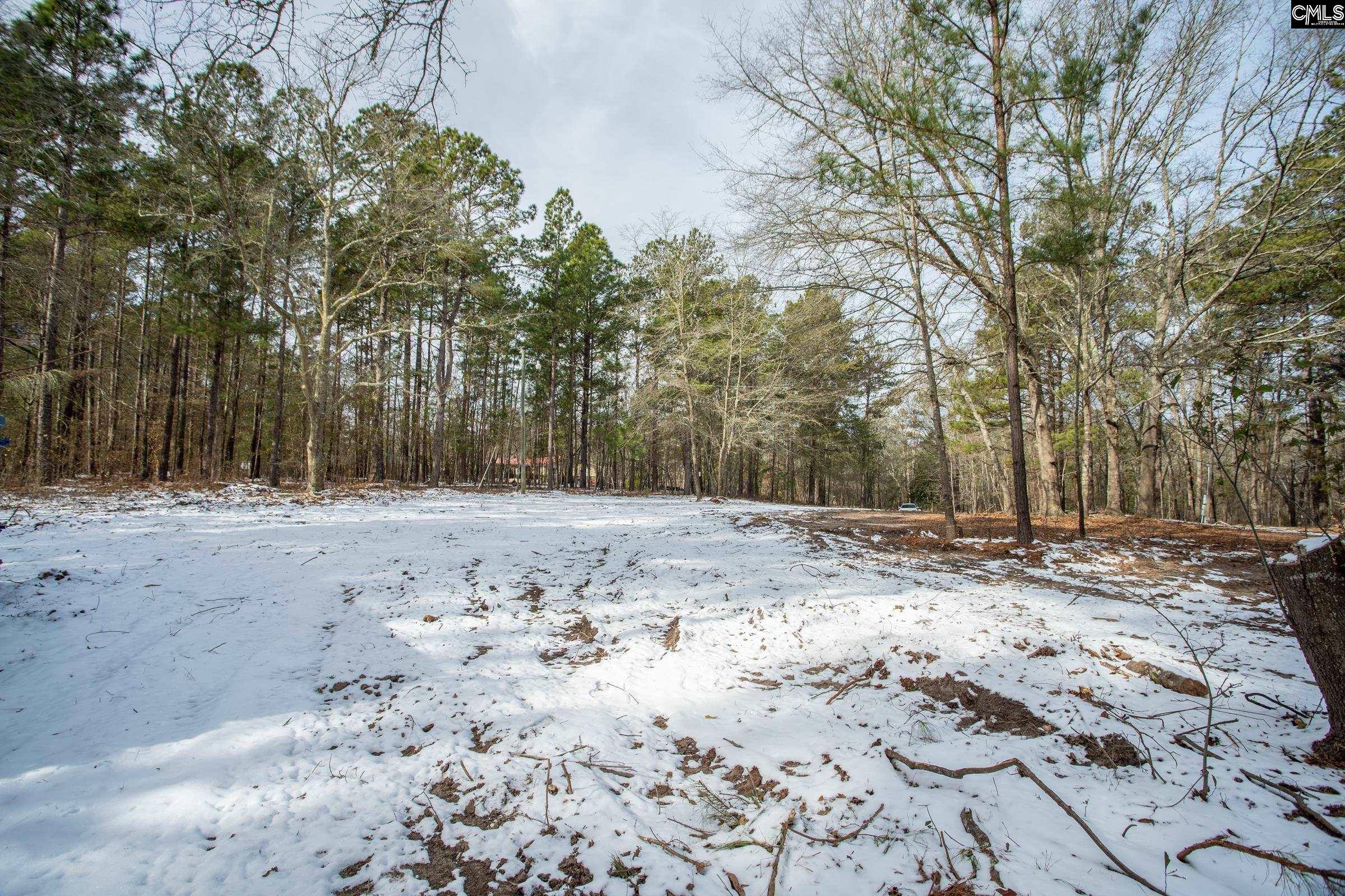 112 Kinard Kelley Lane, Blythewood, South Carolina image 10