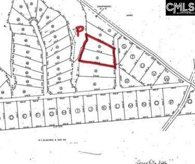 Greengarden Drive Chapin, SC 29036