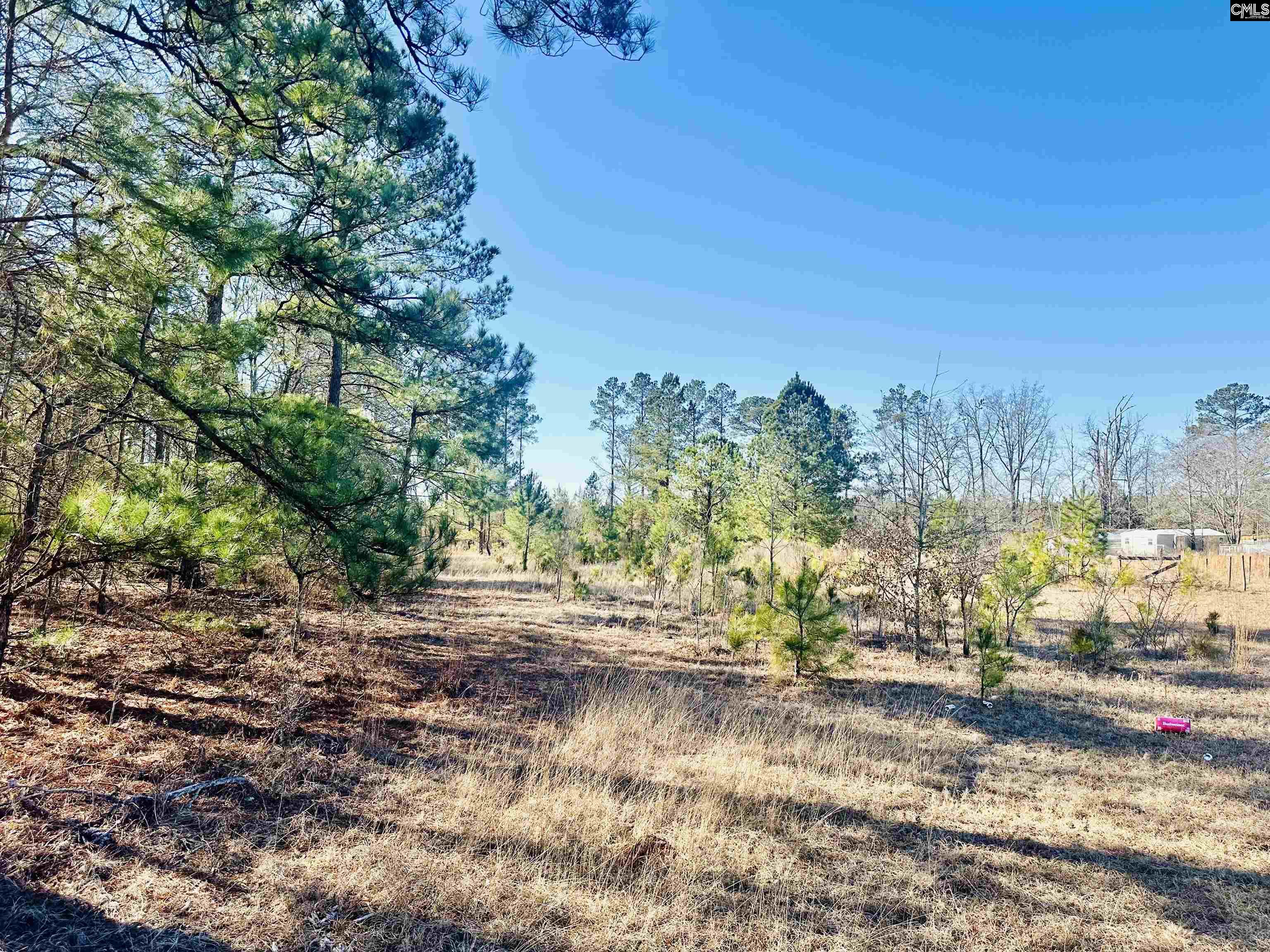 2361 Mill Creek Road, Bethune, South Carolina image 1
