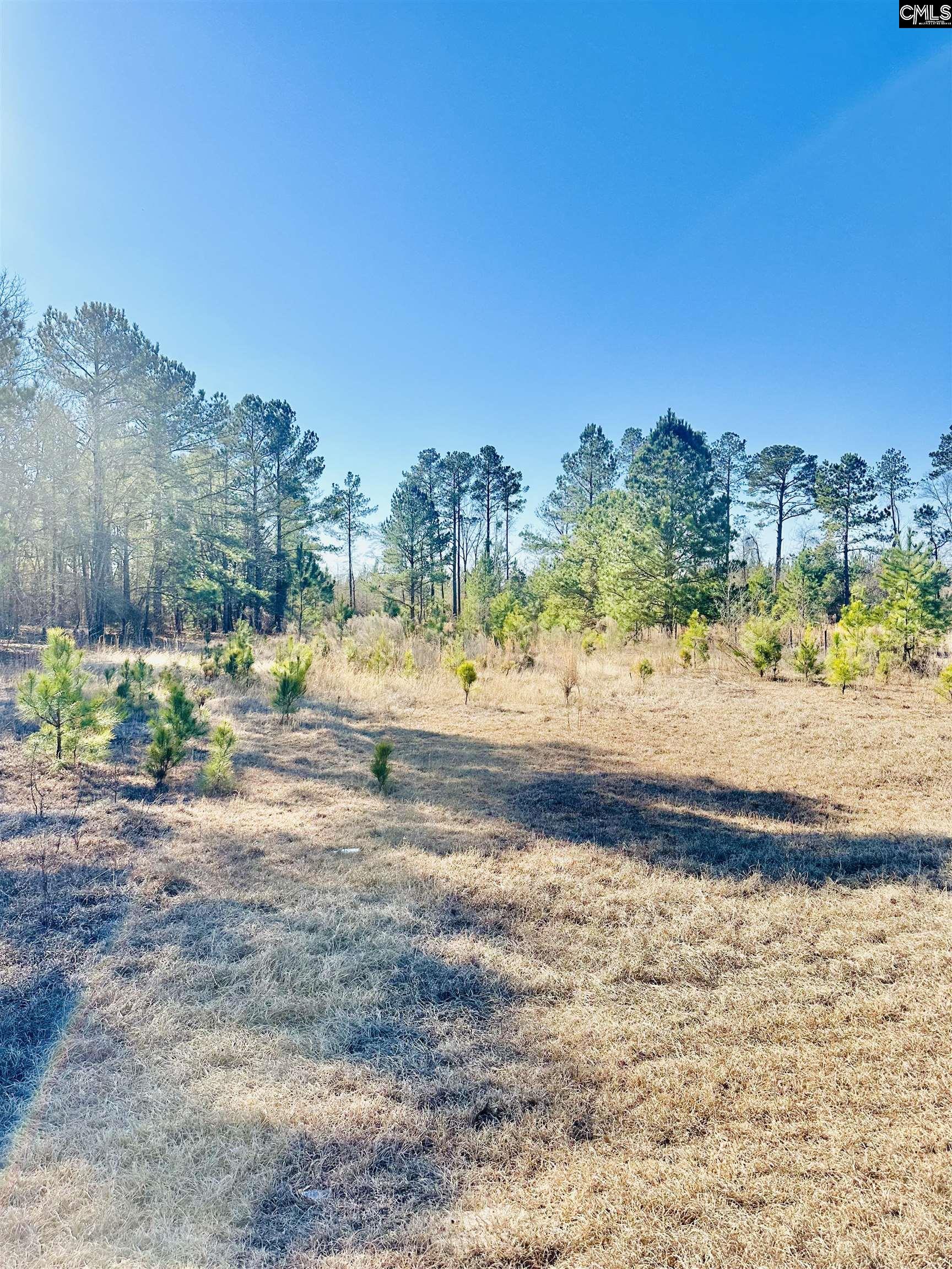 2361 Mill Creek Road, Bethune, South Carolina image 2