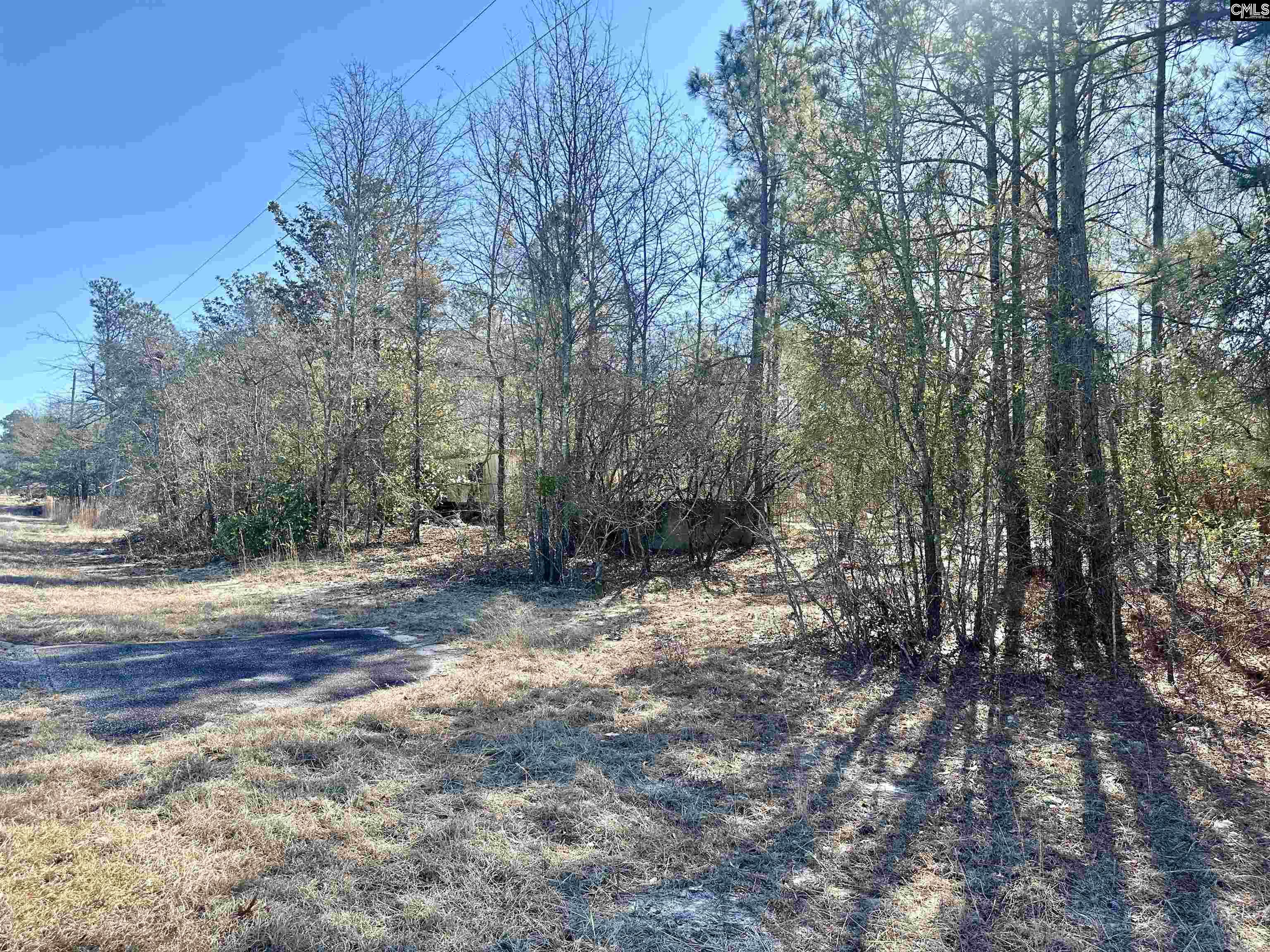 2351 Mill Creek Road Bethune, SC 29009