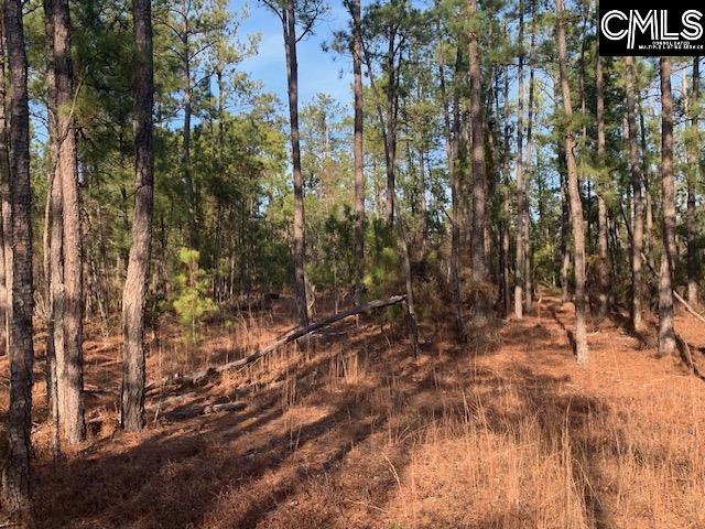 264 Willie Wilson Road, Eastover, South Carolina image 1