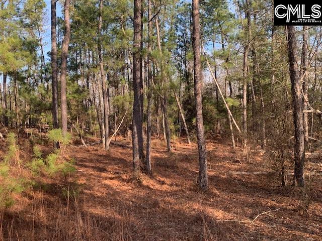 264 Willie Wilson Road, Eastover, South Carolina image 2