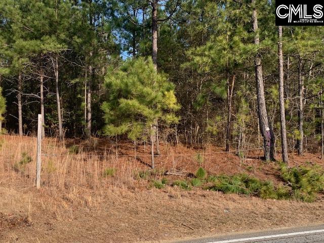264 Willie Wilson Road, Eastover, South Carolina image 11