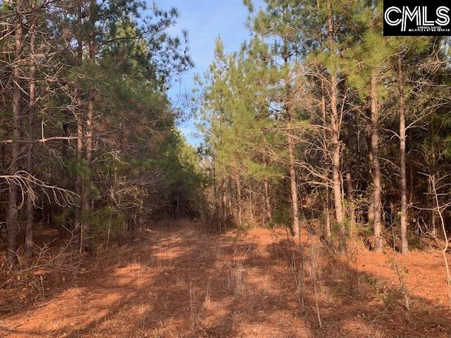 264 Willie Wilson Road, Eastover, South Carolina image 12