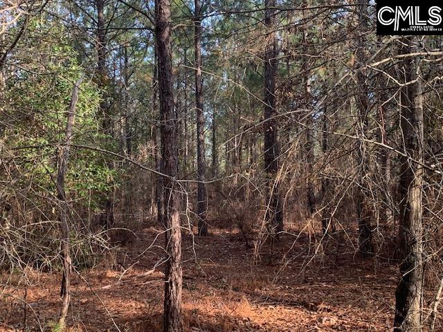 264 Willie Wilson Road, Eastover, South Carolina image 13