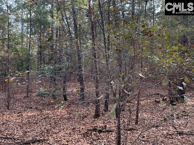 264 Willie Wilson Road, Eastover, South Carolina image 14