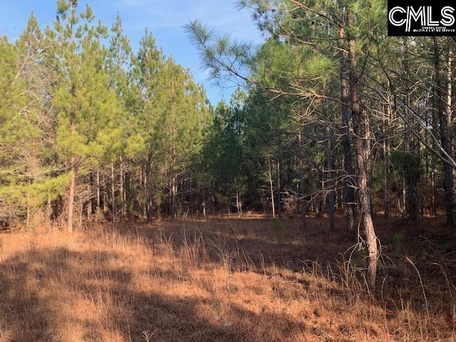 264 Willie Wilson Road, Eastover, South Carolina image 15