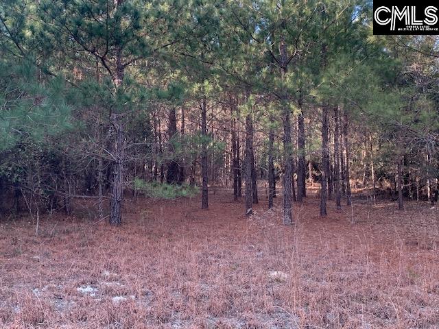 264 Willie Wilson Road, Eastover, South Carolina image 16