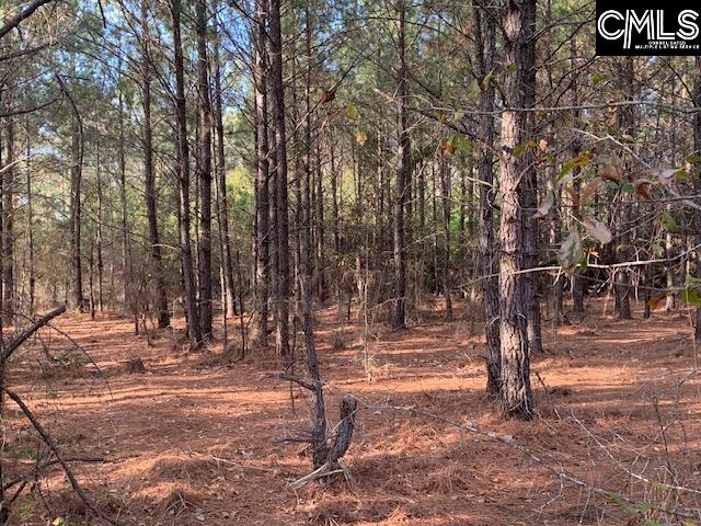 264 Willie Wilson Road, Eastover, South Carolina image 17