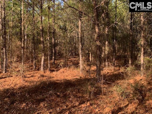 264 Willie Wilson Road, Eastover, South Carolina image 3