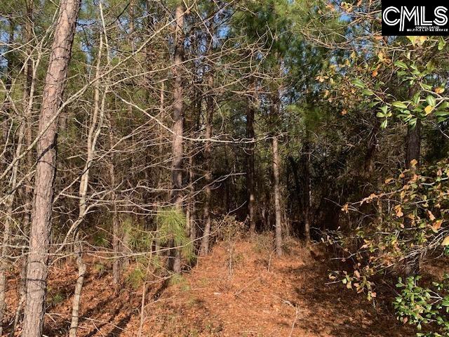 264 Willie Wilson Road, Eastover, South Carolina image 4