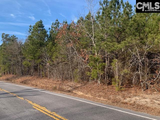 264 Willie Wilson Road, Eastover, South Carolina image 6