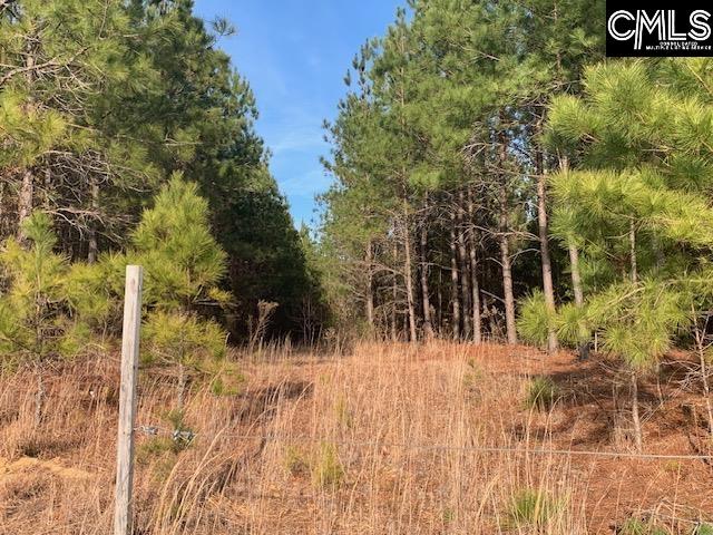 264 Willie Wilson Road, Eastover, South Carolina image 7