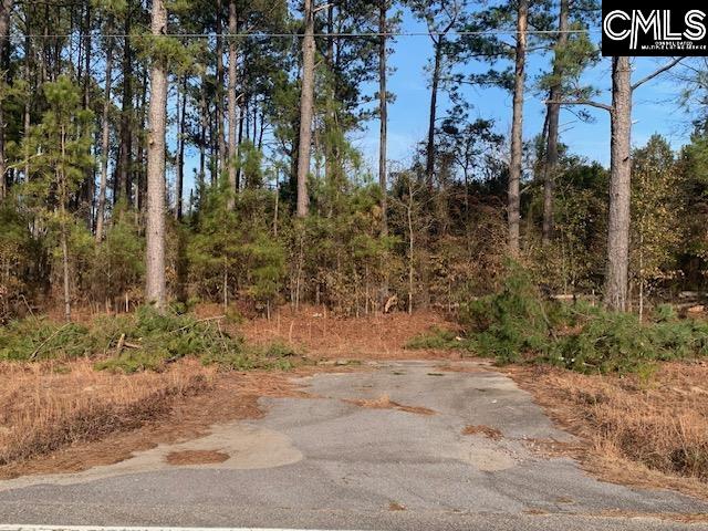 264 Willie Wilson Road, Eastover, South Carolina image 9