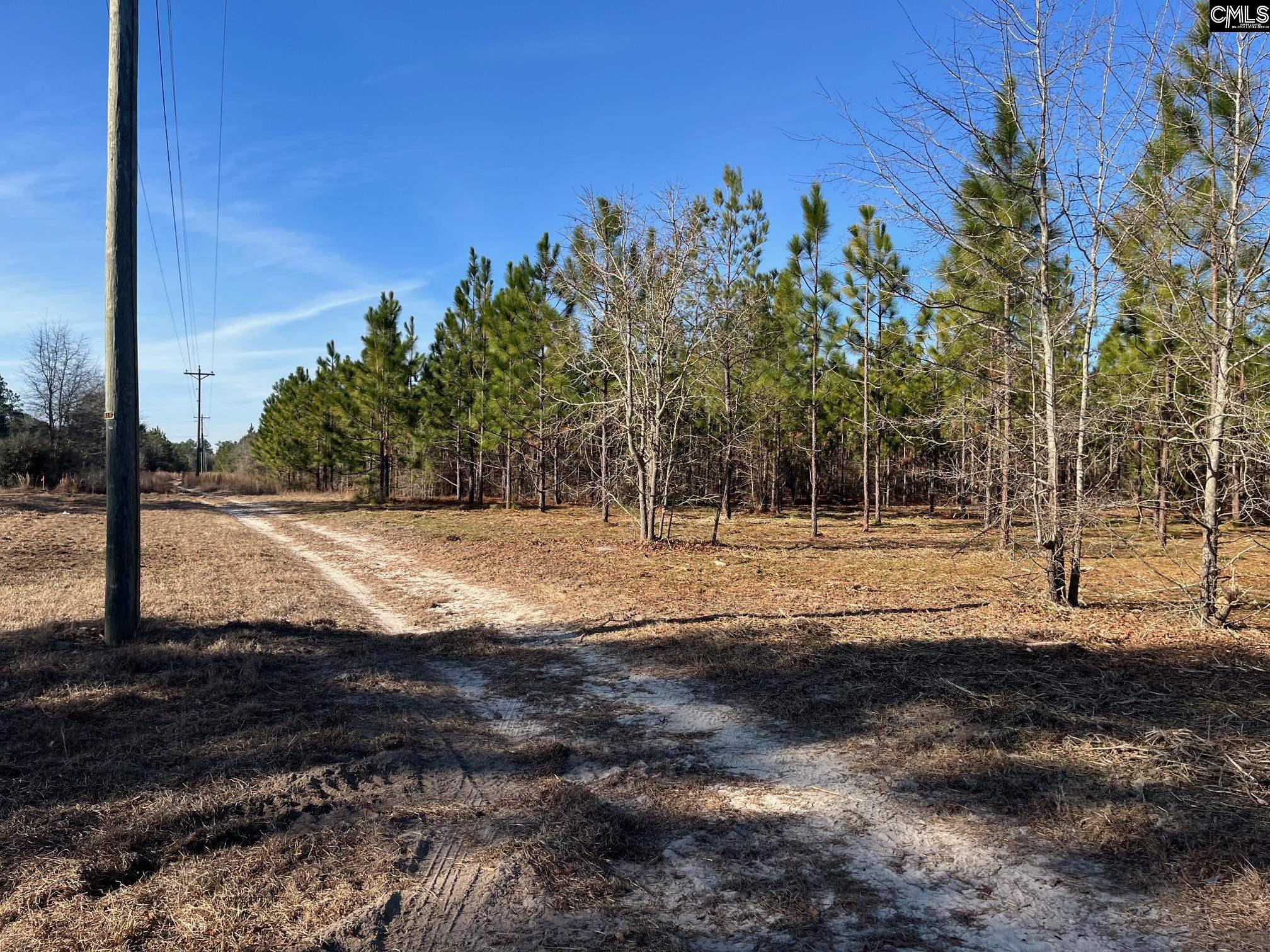 PPR 5.08 Payne Pond Road #5.08, Westville, South Carolina image 7