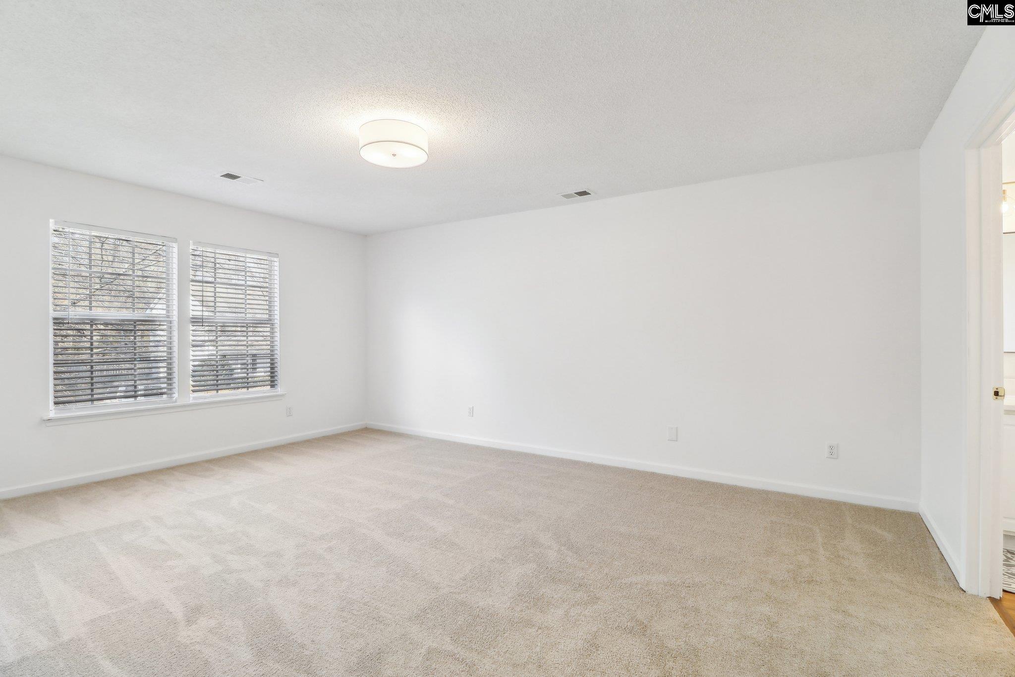 104 Wingspan Way, Chapin, South Carolina image 18