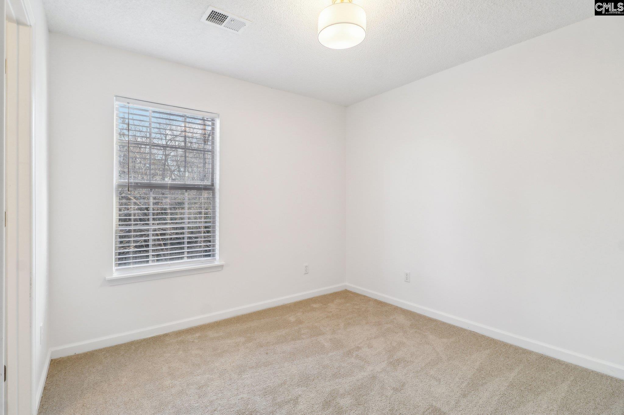 104 Wingspan Way, Chapin, South Carolina image 28