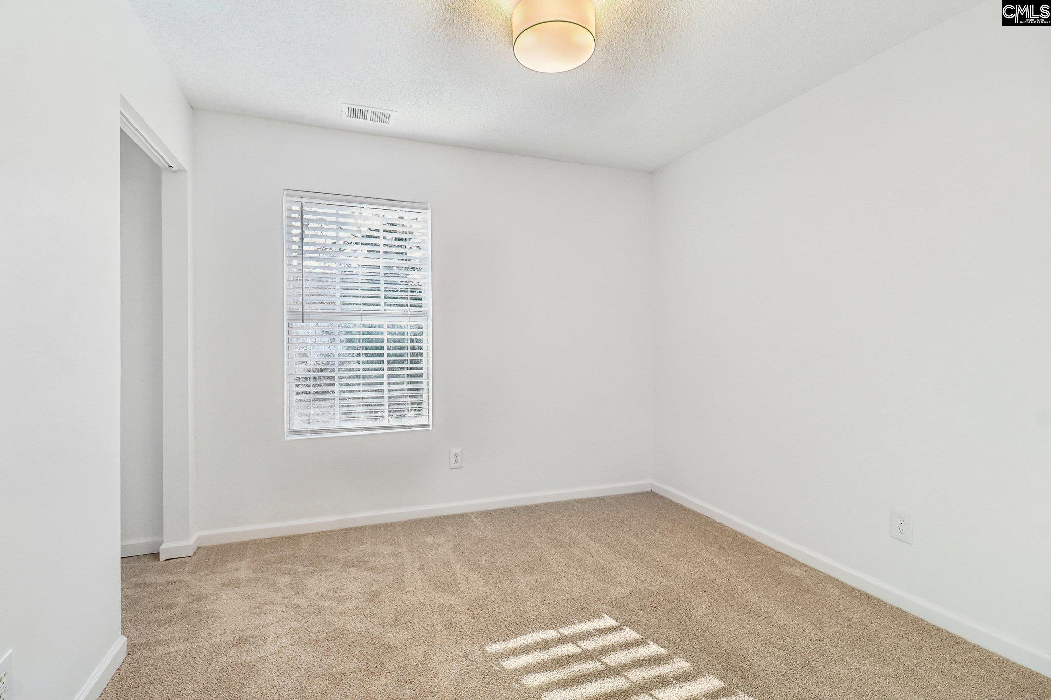 104 Wingspan Way, Chapin, South Carolina image 29