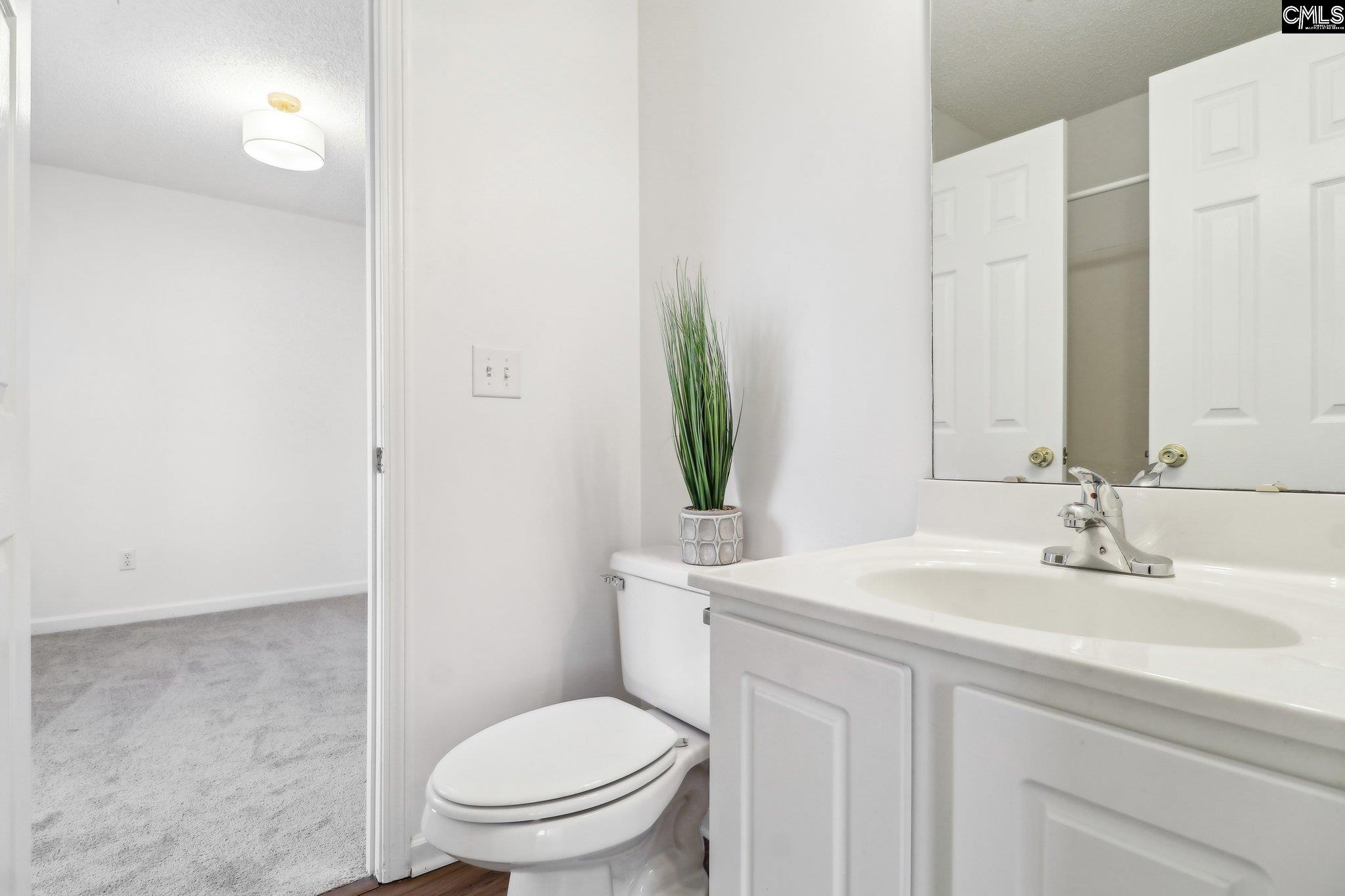104 Wingspan Way, Chapin, South Carolina image 30