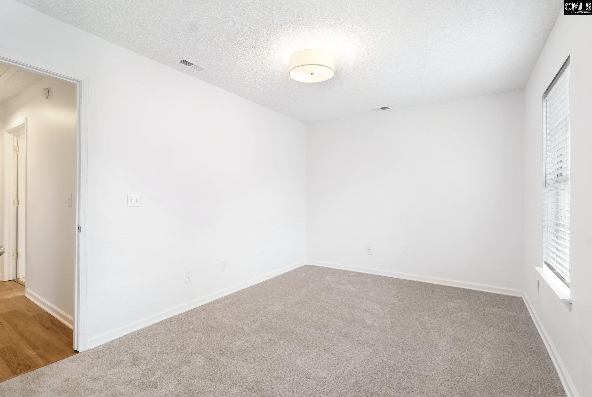 104 Wingspan Way, Chapin, South Carolina image 35