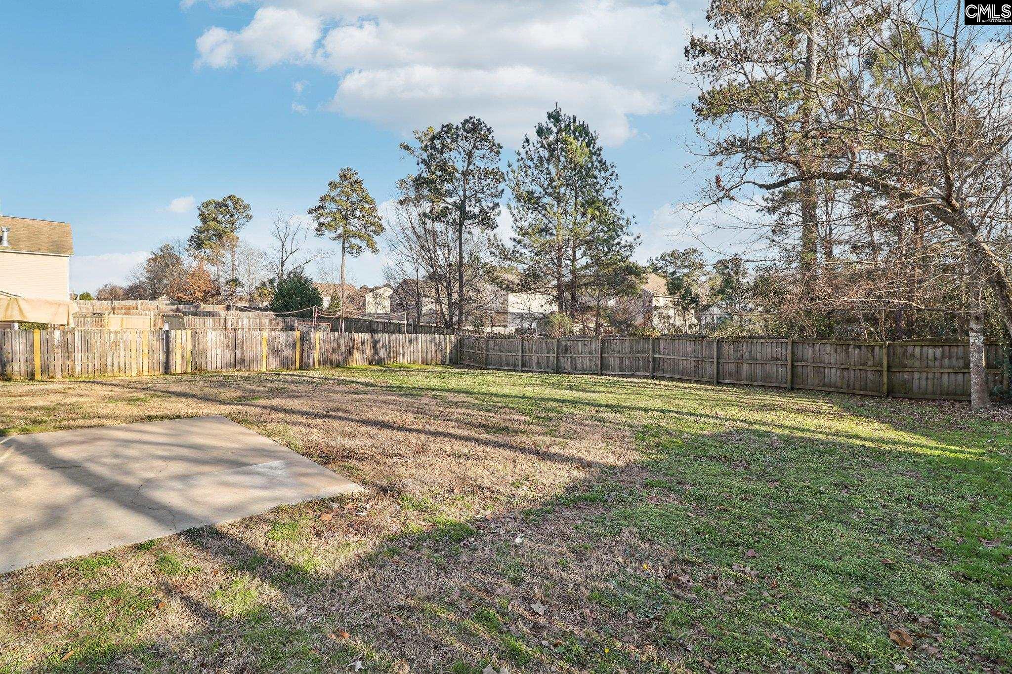104 Wingspan Way, Chapin, South Carolina image 43