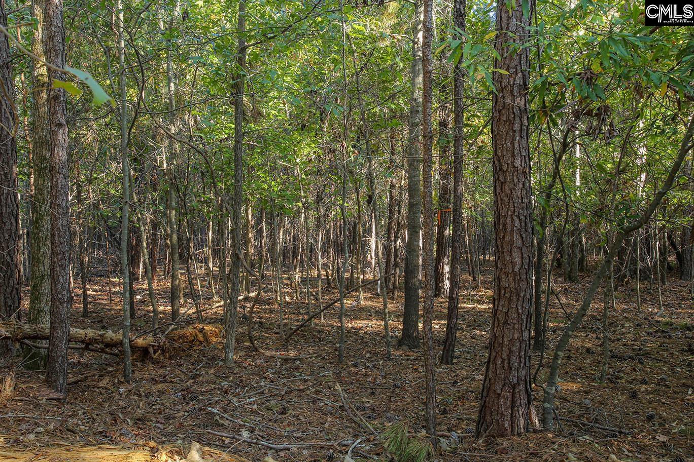 000 Hamms Landing Road, Prosperity, South Carolina image 19