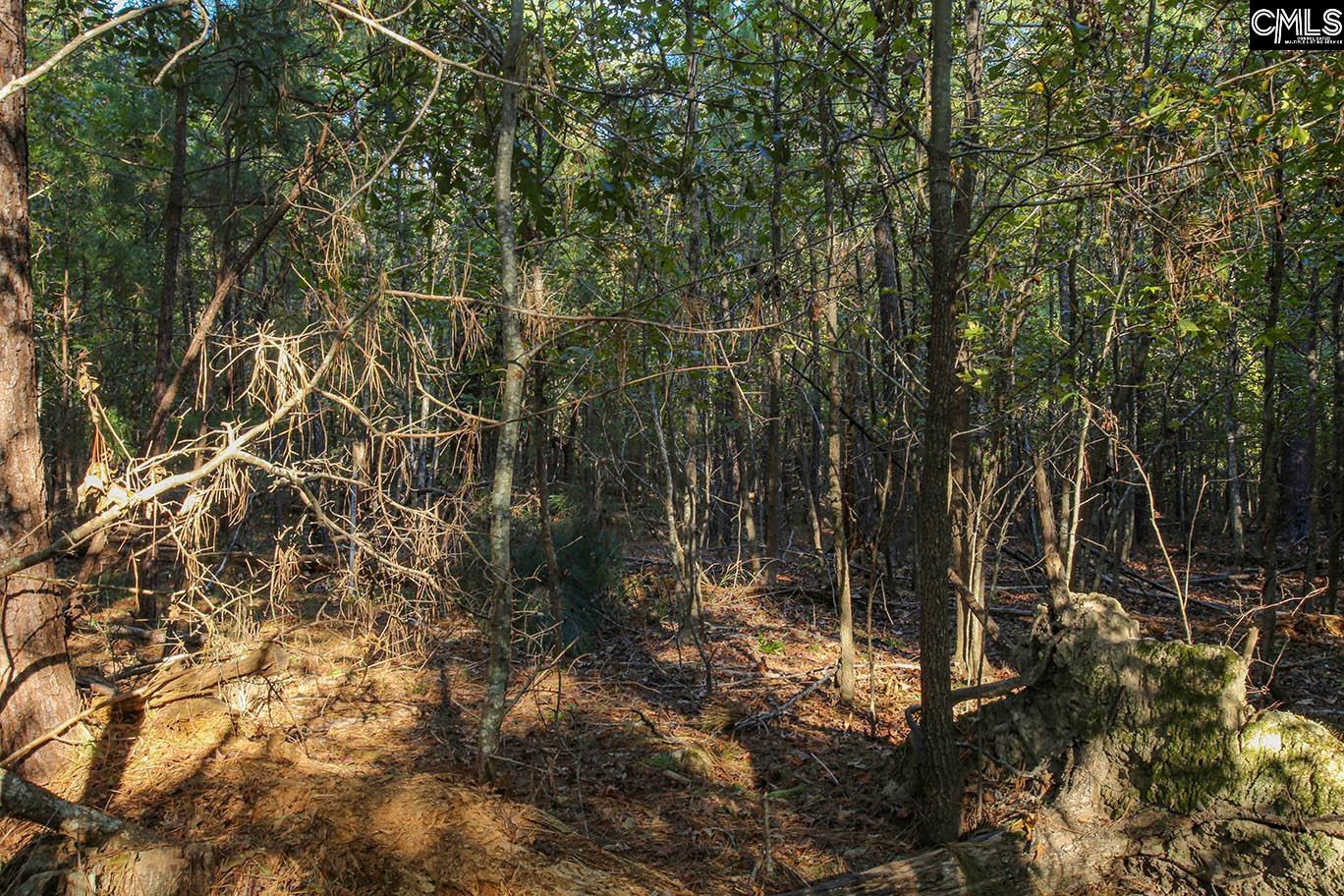 000 Hamms Landing Road, Prosperity, South Carolina image 28