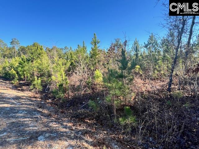 TBD Stephens Road, Bethune, South Carolina image 1