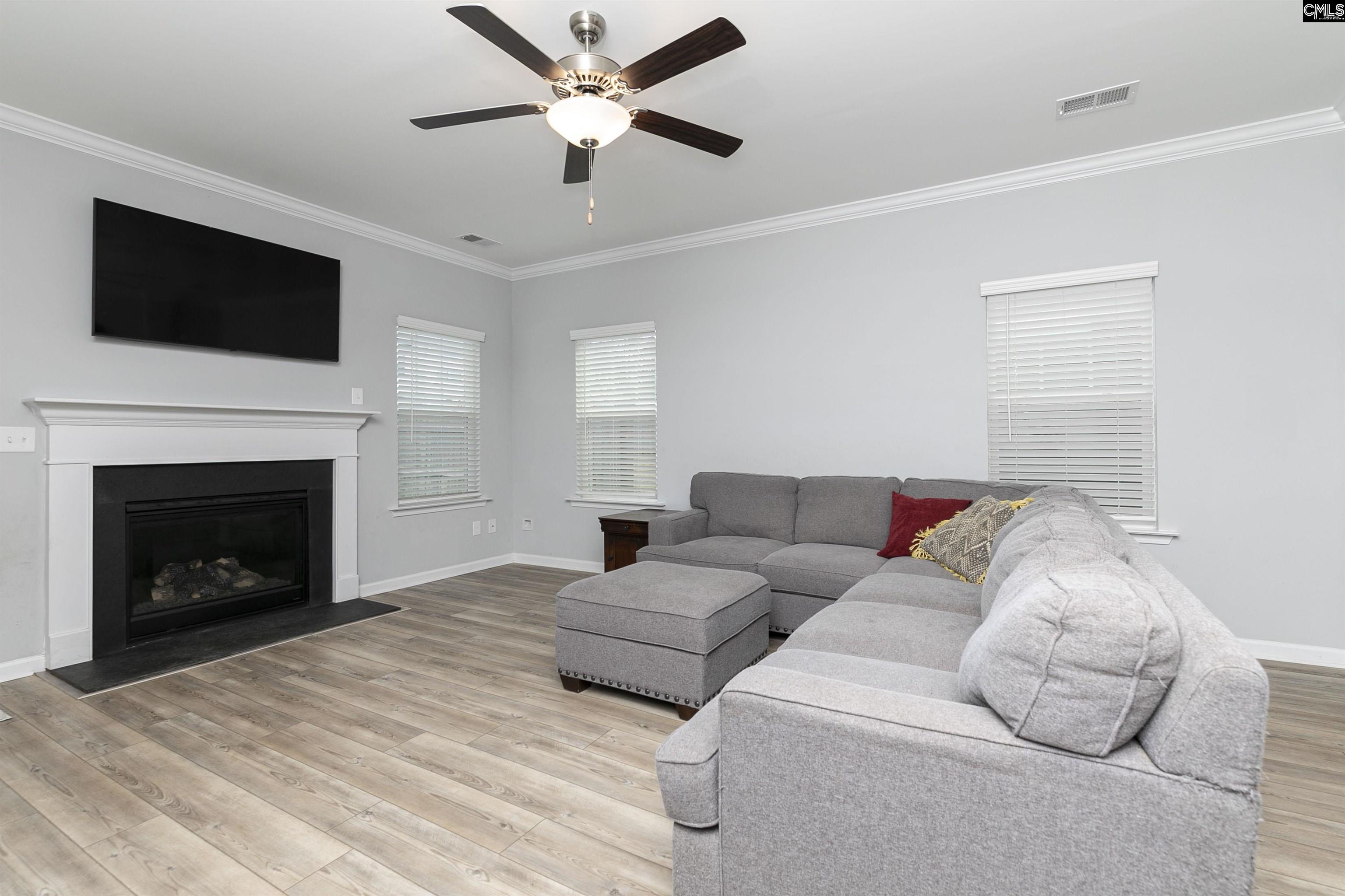 928 Bergenfield Lane, Chapin, South Carolina image 12