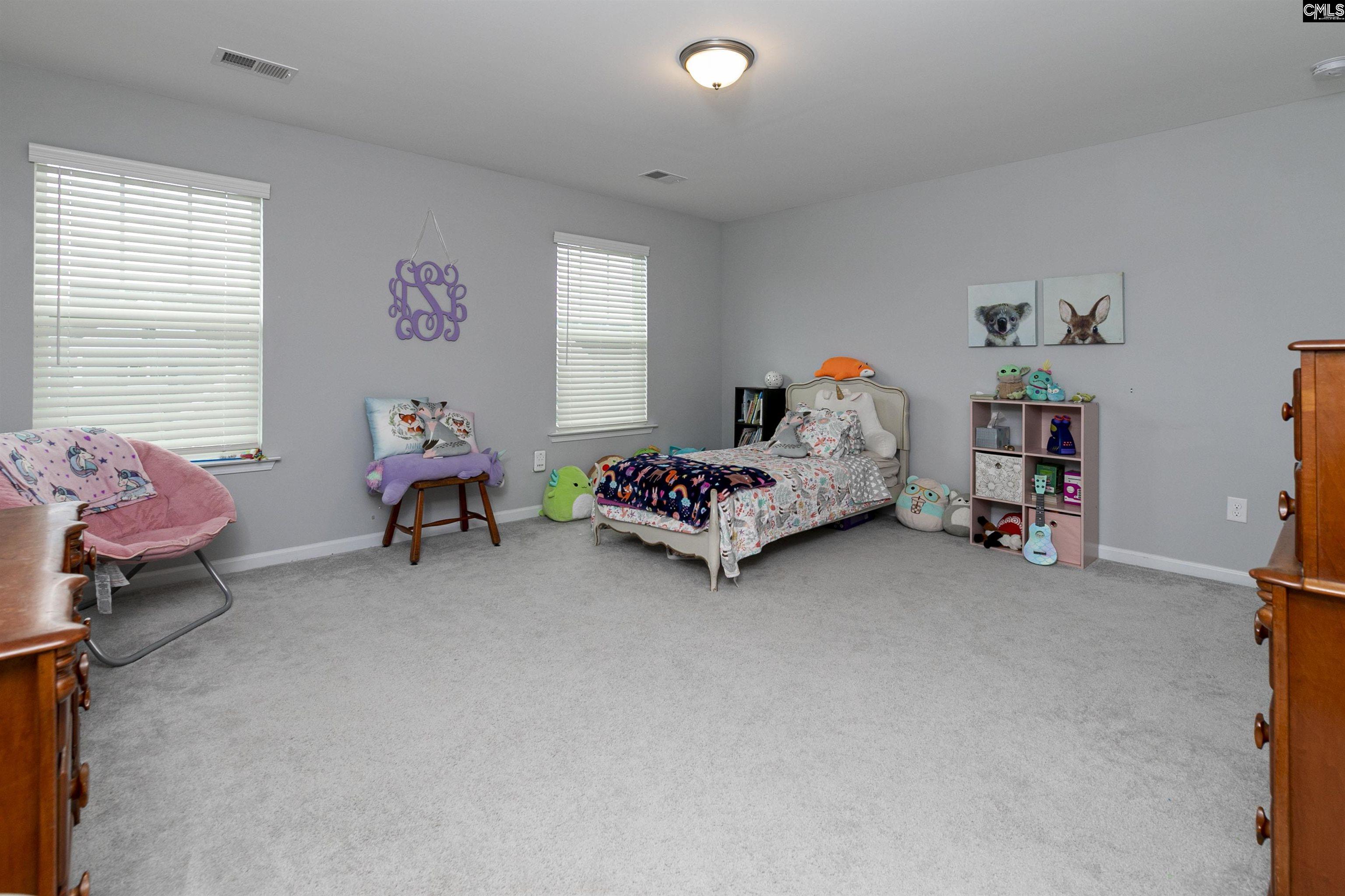 928 Bergenfield Lane, Chapin, South Carolina image 22