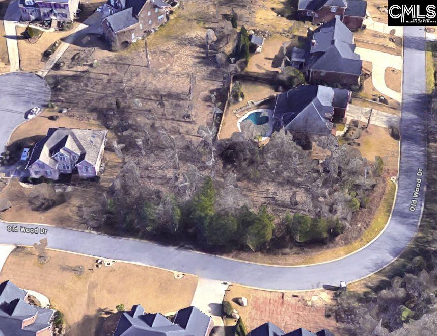338 Old Wood Drive Columbia, SC 29212
