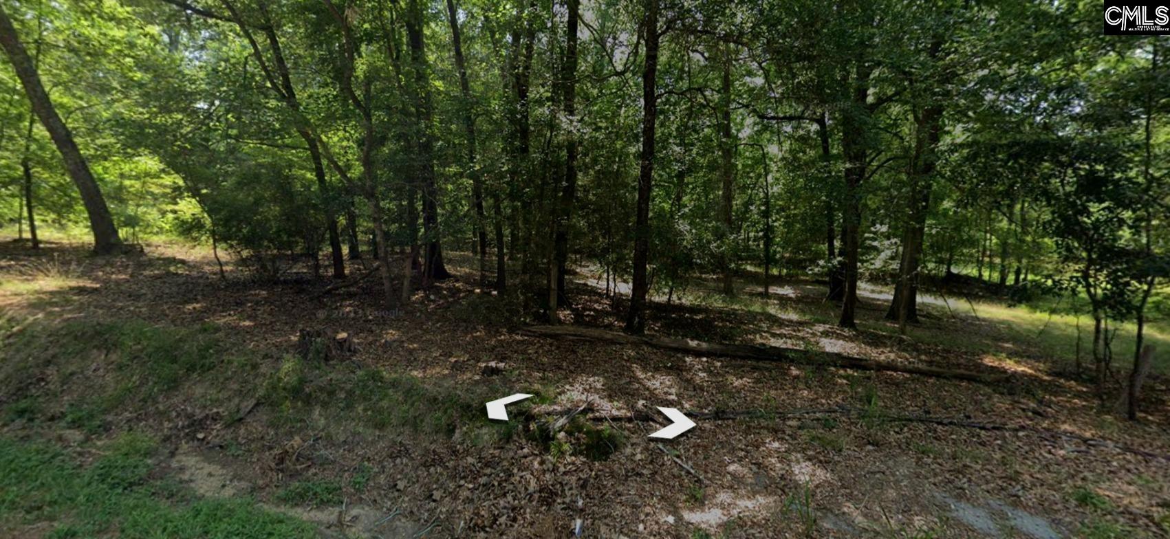 Tbd State Park Road Prosperity, SC 29127