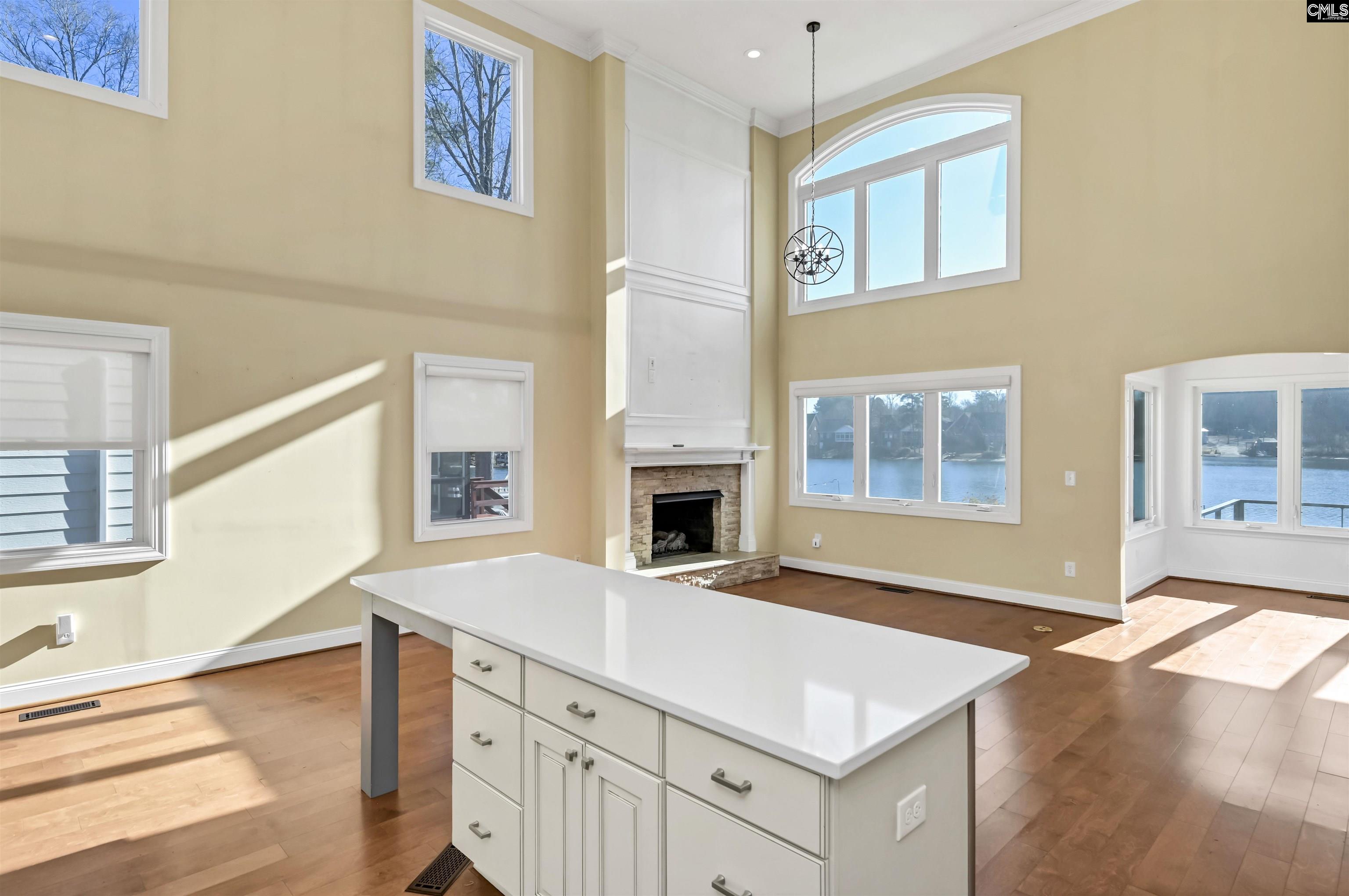 155 Sylvan Street, Chapin, South Carolina image 22