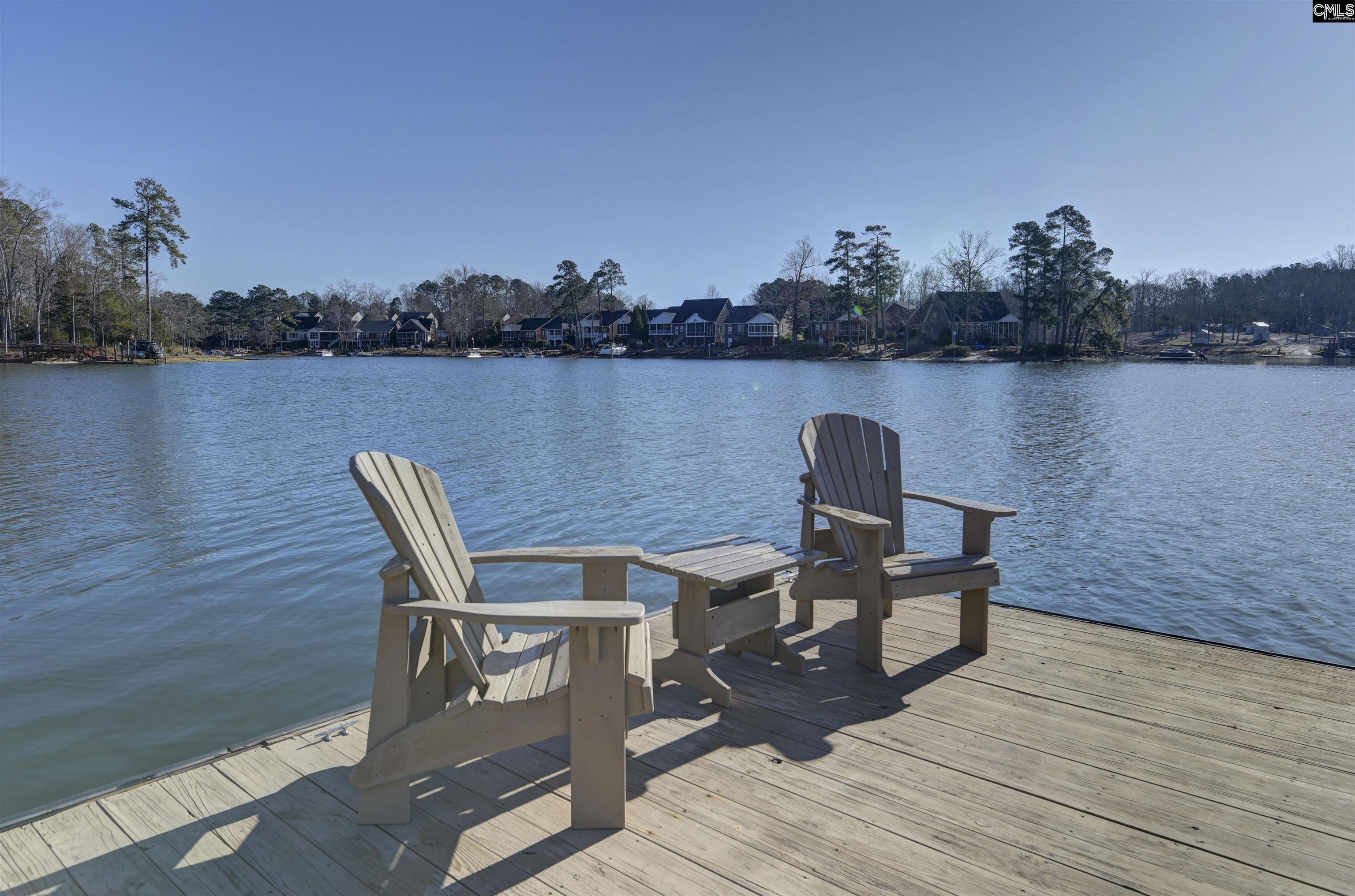 155 Sylvan Street, Chapin, South Carolina image 9