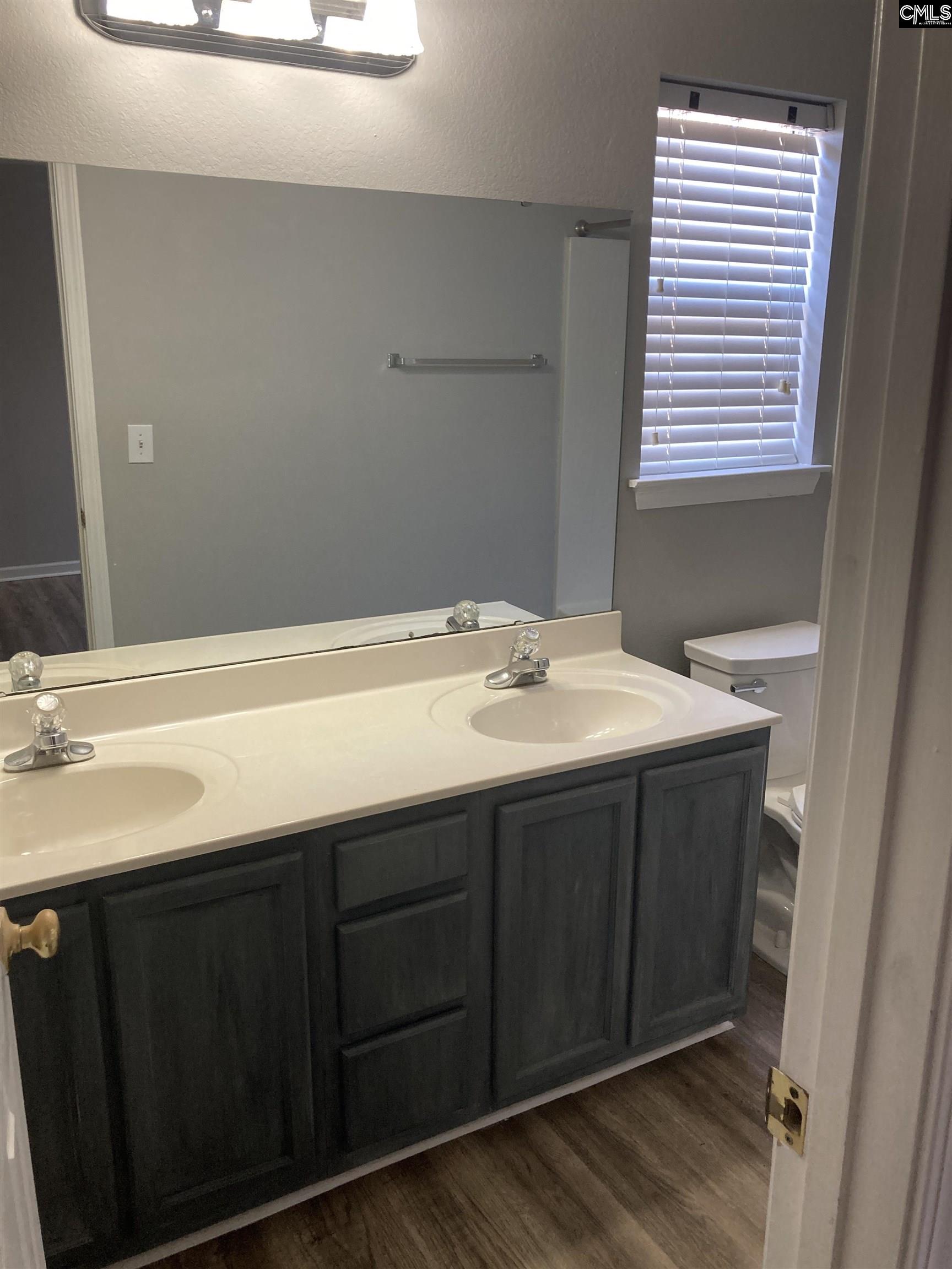 1 Summer Branch Court, Irmo, South Carolina image 11