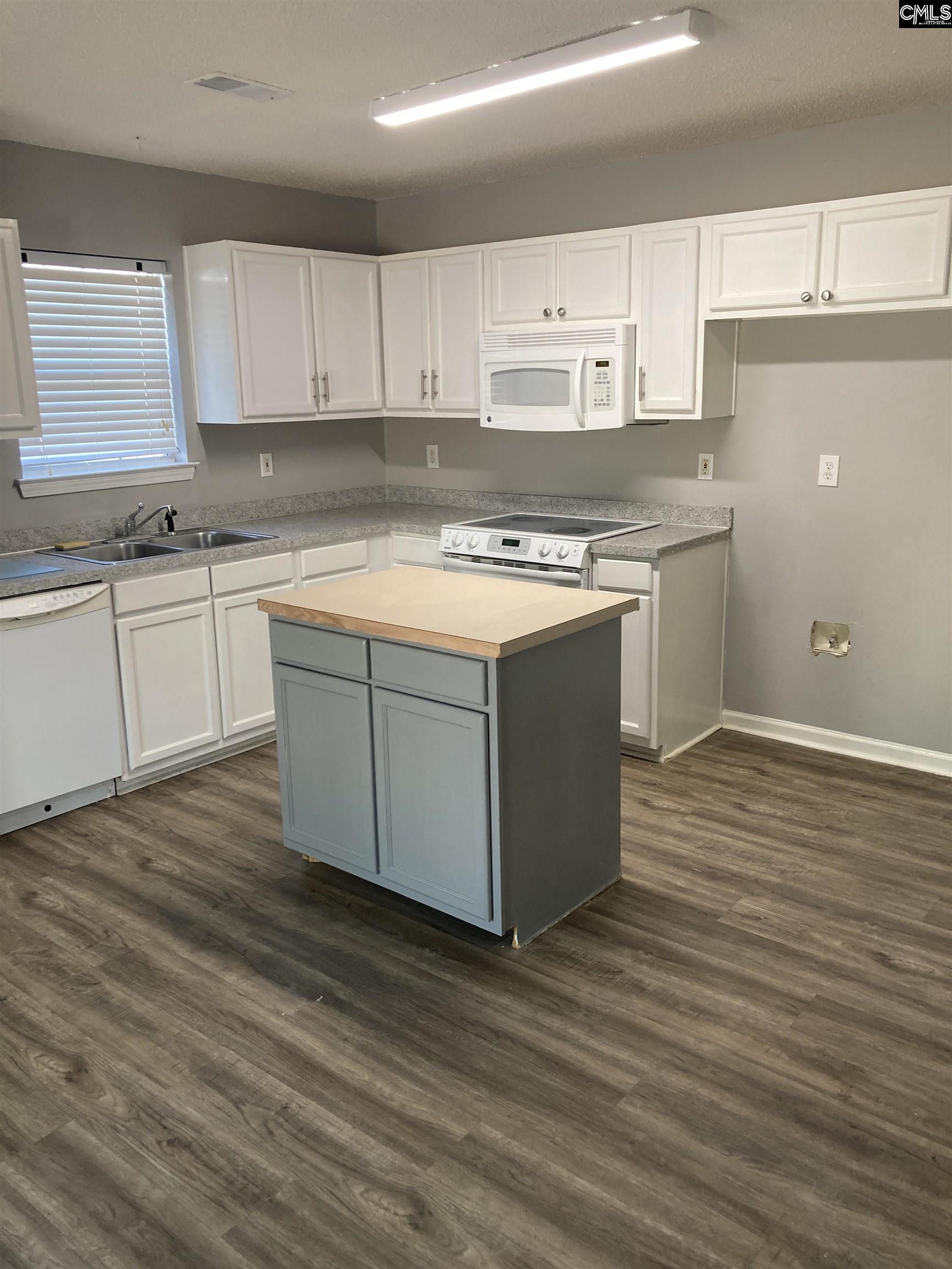 1 Summer Branch Court, Irmo, South Carolina image 17