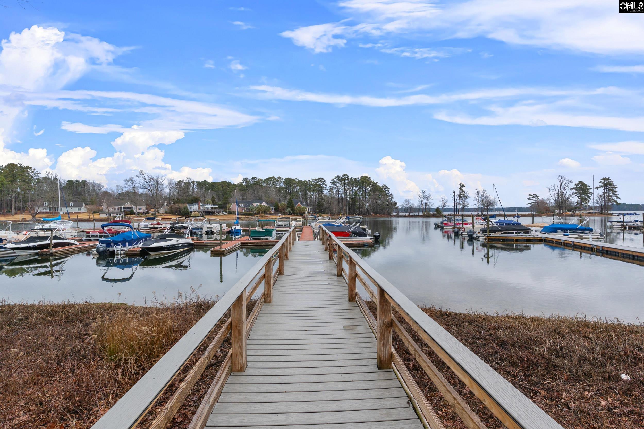 132 Night Harbor Drive, Chapin, South Carolina image 46