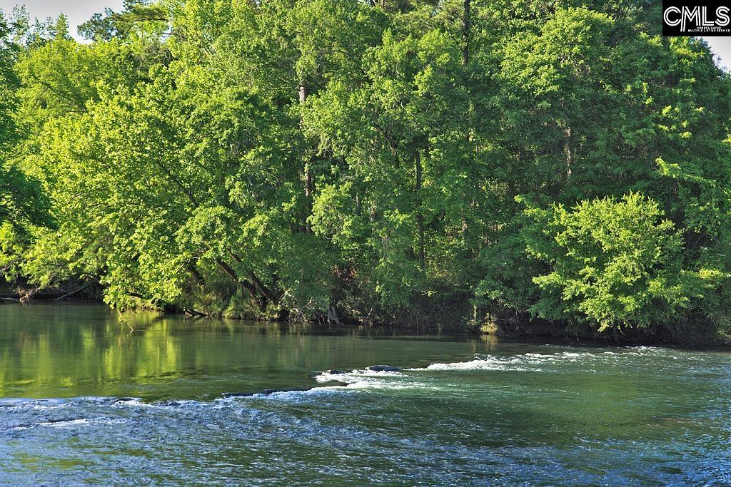 2034 Shallow Bluff Court Lexington, SC 29072-6706