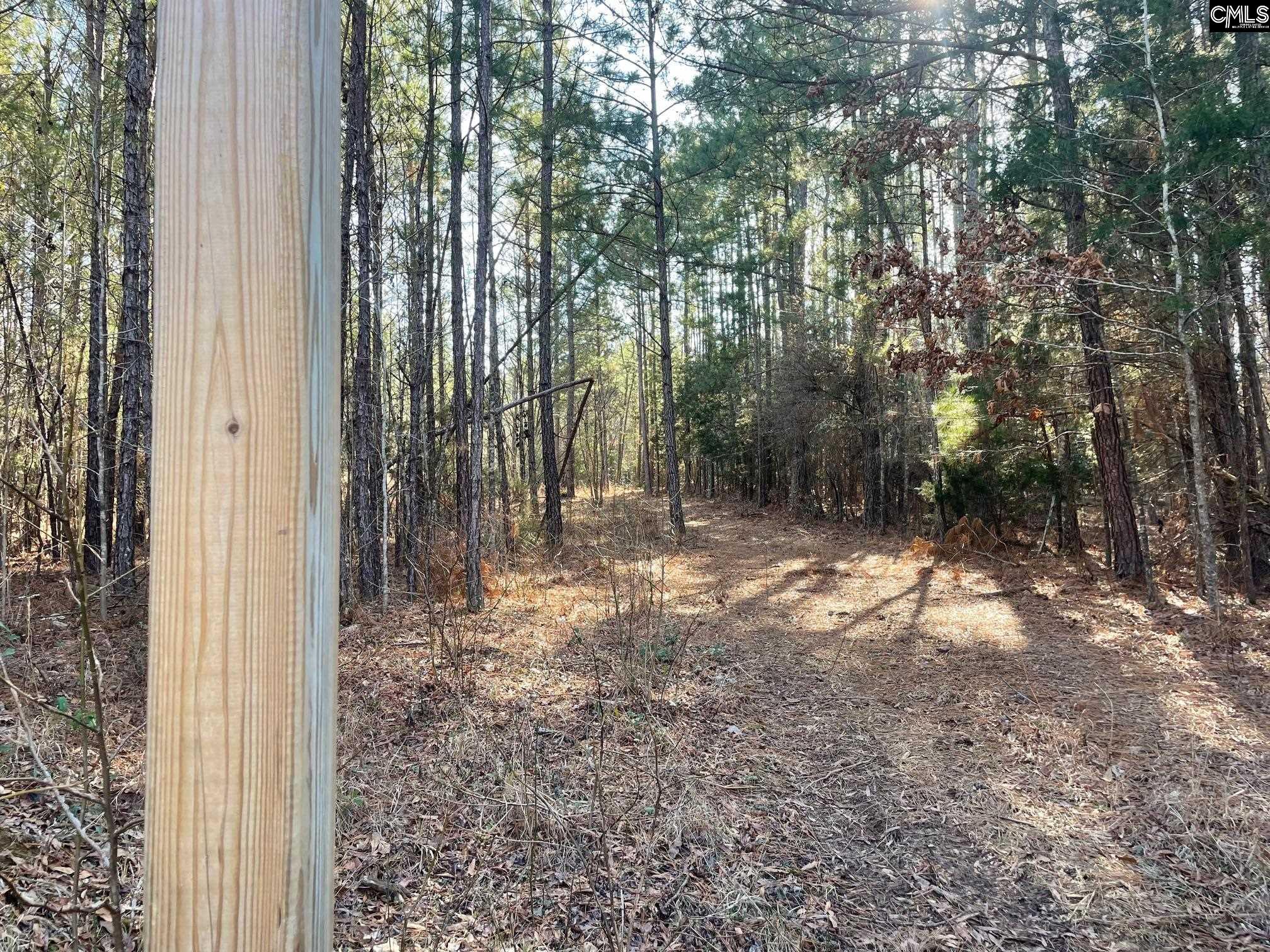 LOT 2 Houston Road UNIT #2 Prosperity, SC 29126