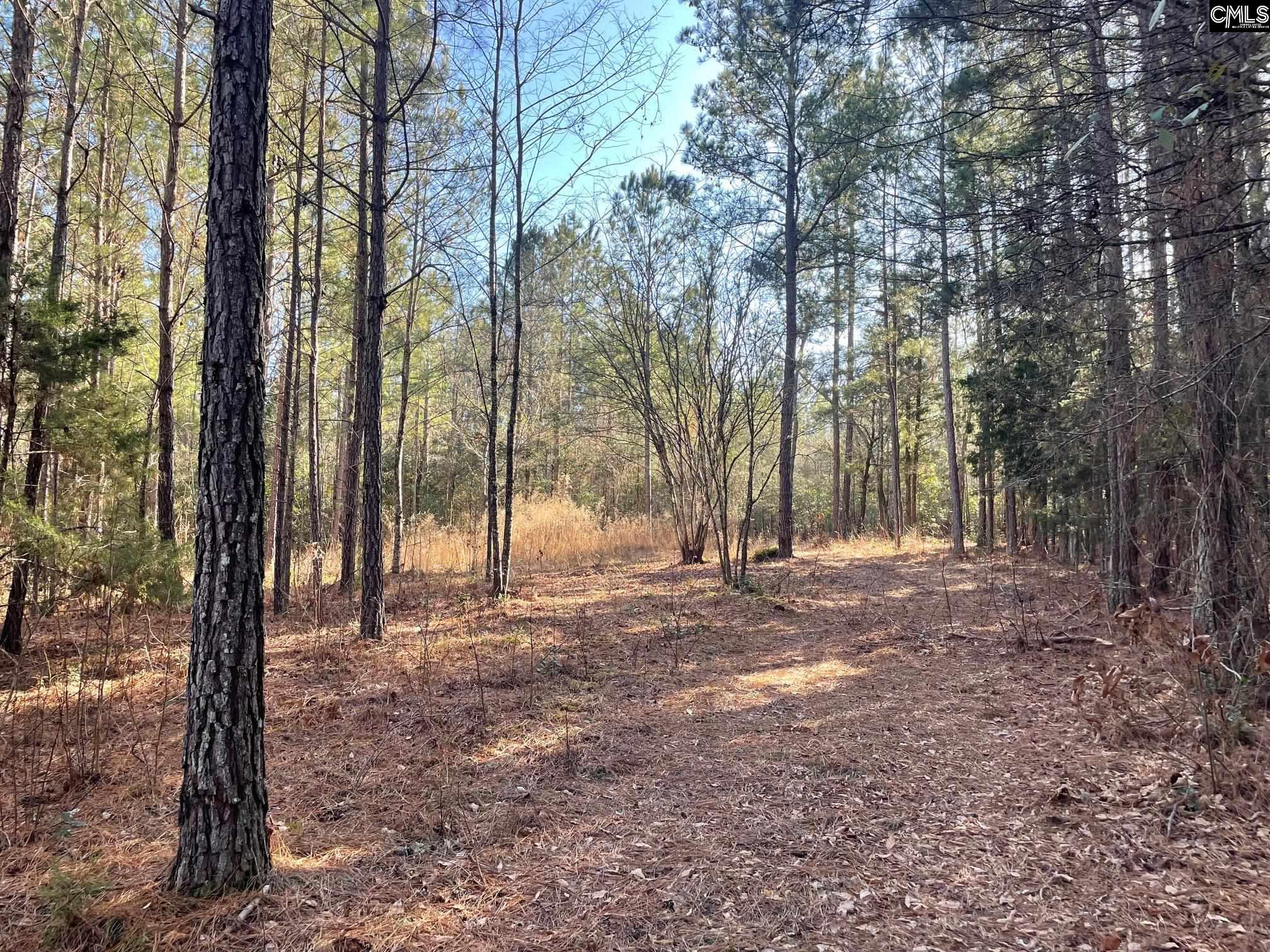 LOT 2 Houston Road UNIT #2 Prosperity, SC 29126
