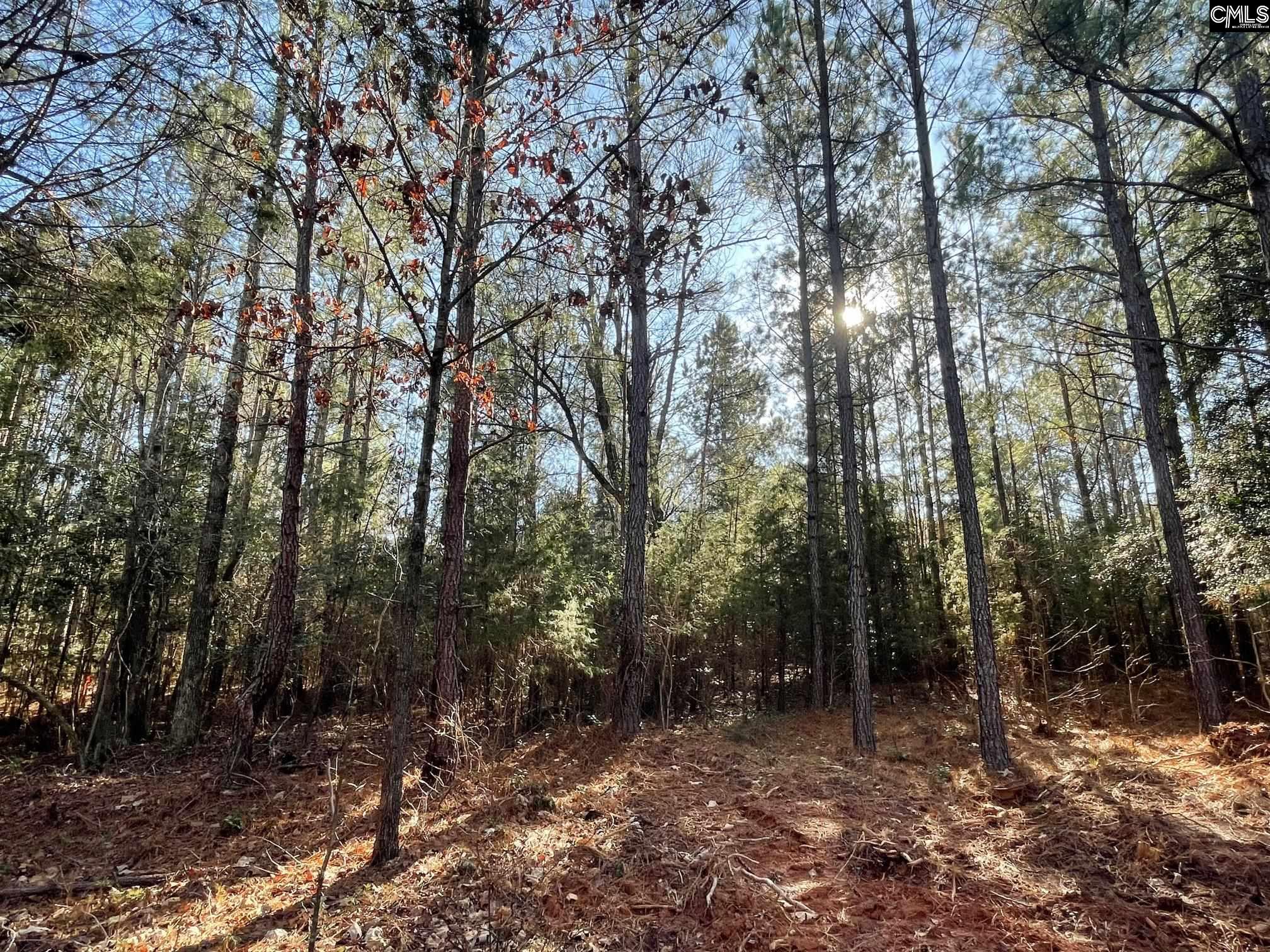 LOT 2 Houston Road UNIT #2 Prosperity, SC 29126